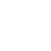 Apple partner